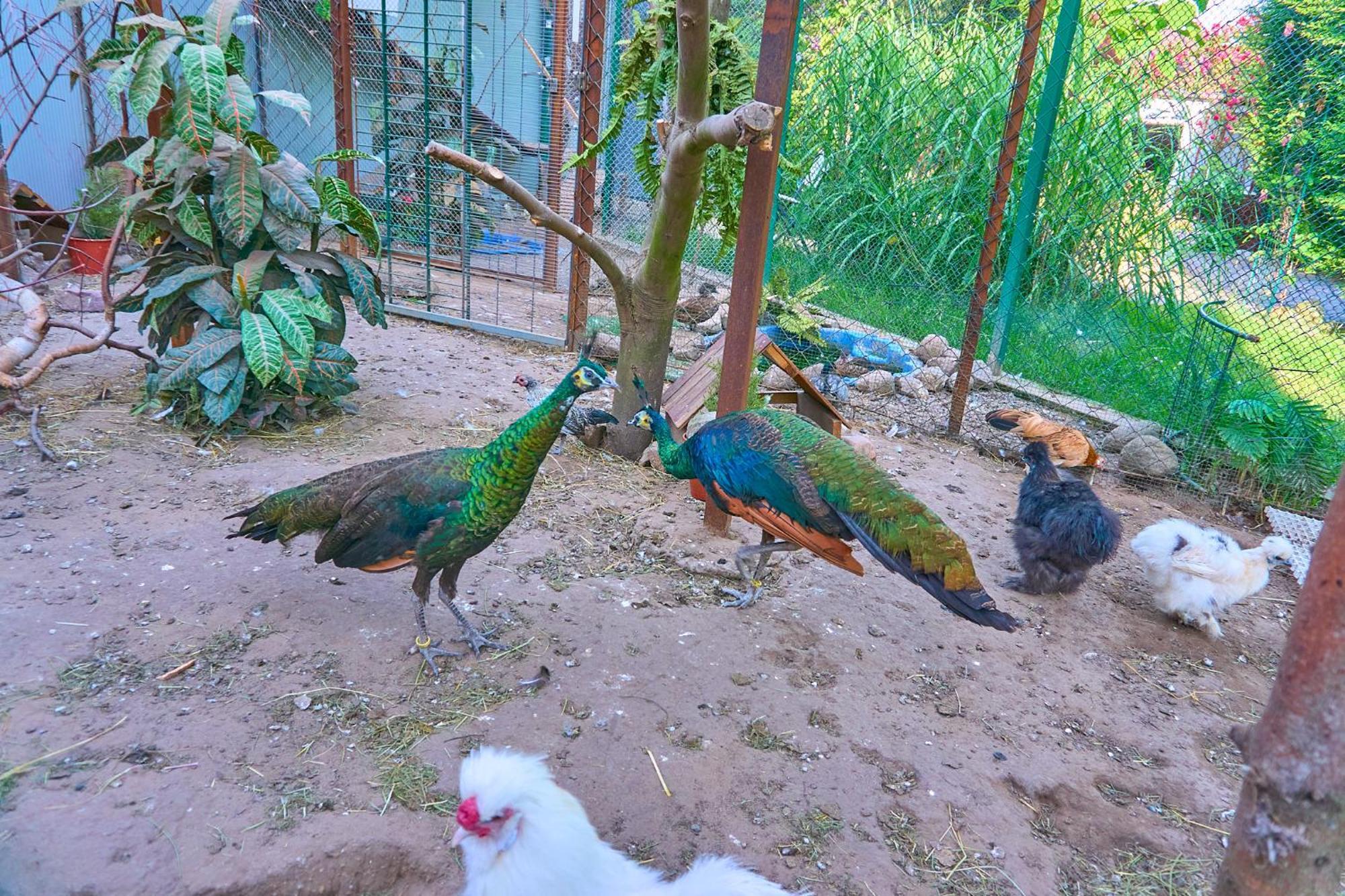 Bed and Breakfast Ow Sargus Владиславово Екстер'єр фото